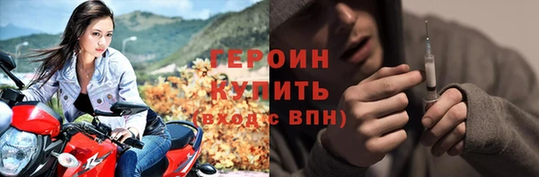 прущие грибы Горняк