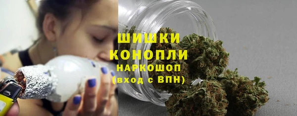 прущие грибы Горняк