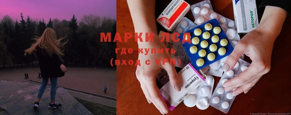 прущие грибы Горняк