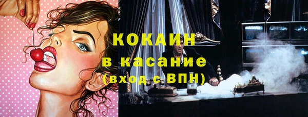 прущие грибы Горняк