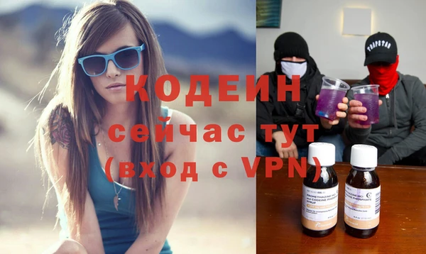 прущие грибы Горняк