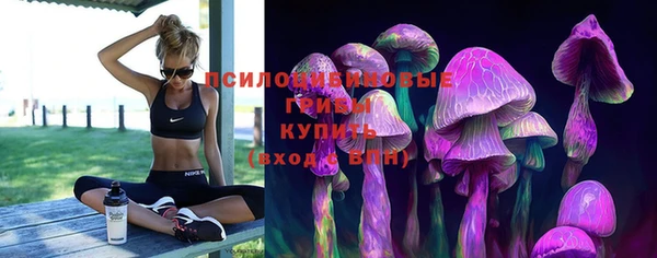 дмт Вязьма