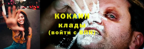крисы Горно-Алтайск