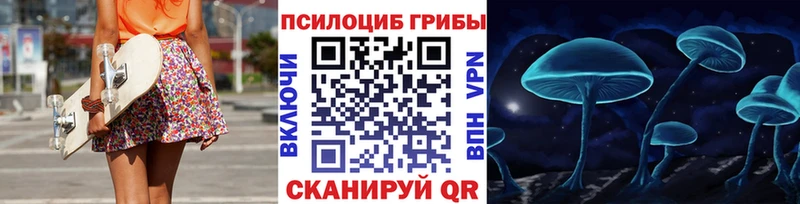 Псилоцибиновые грибы Cubensis  Купить  Кольчугино 
